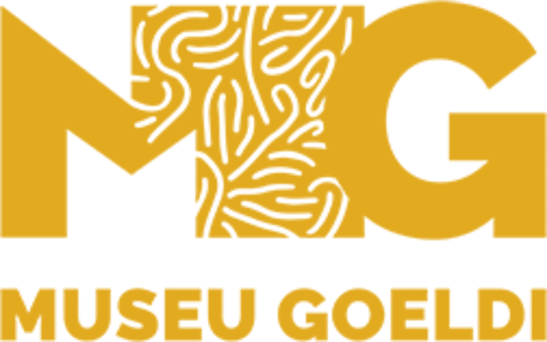 logo Museu Goeldi n